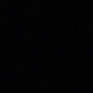 Meet your Posher, Lilly